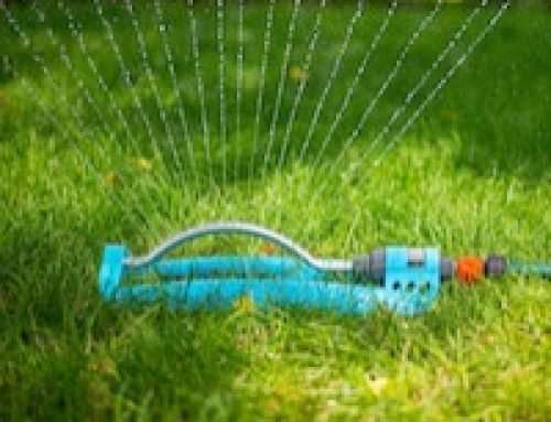 Conserve Water on Your Spring/Summer Landscaping